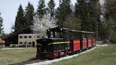 Salzburger Museum - Austria